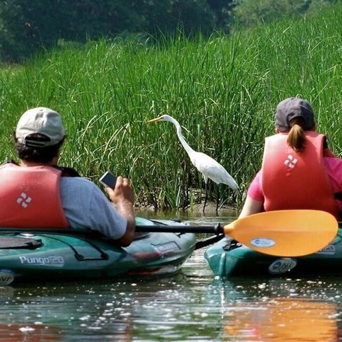 Tours On Water