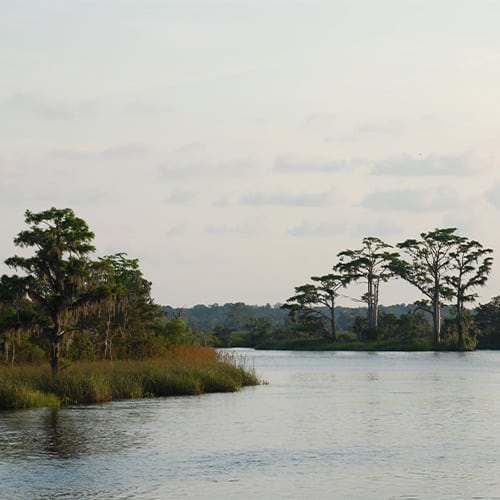 History Forum of the Lowcountry