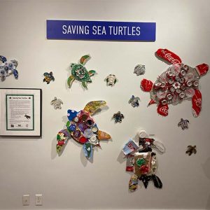 SAVING_SEA_TURTLES