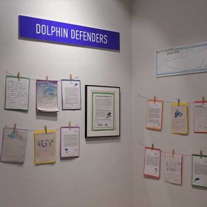 Dolphin_Defenders