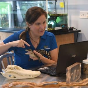 Lowcountry_Reptiles
