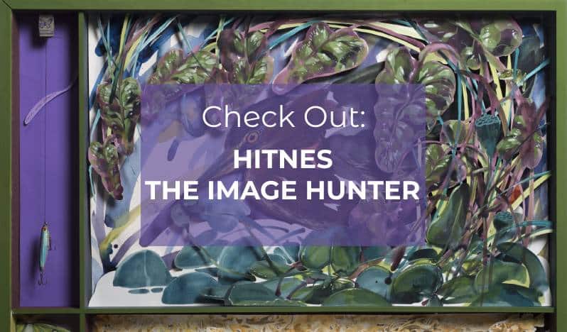 https://www.coastaldiscovery.org/portfolio-item/hitnes-the-image-hunter/