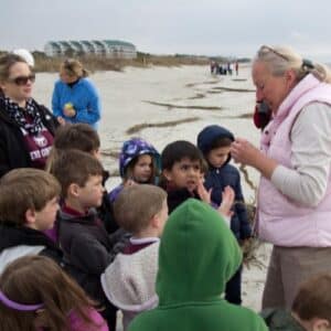 Beach Discovery