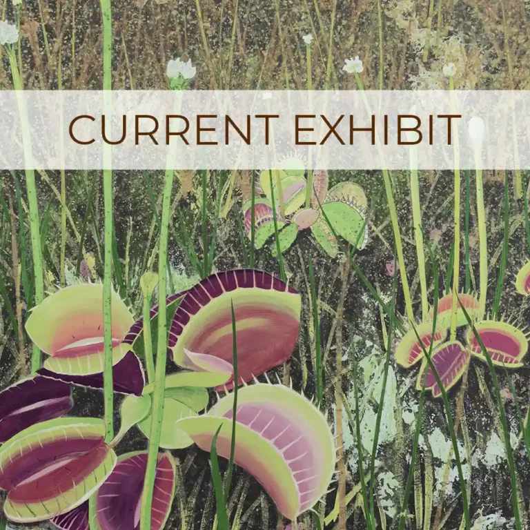 Current Exhibit