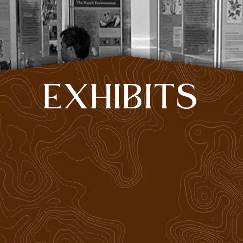 Exhibits_Button hover