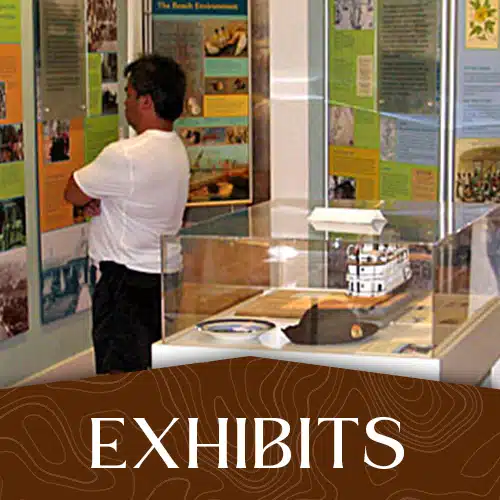 Exhibits_Button