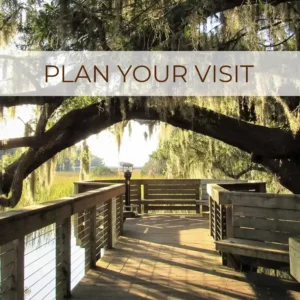 Plan Your Visit