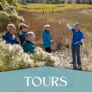Tours_Button