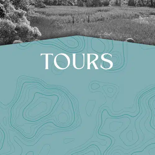 Tours_Button hover