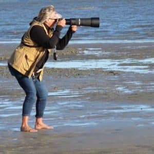 Wildlife Photography