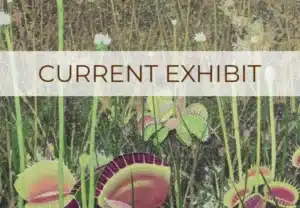 current-exhibit