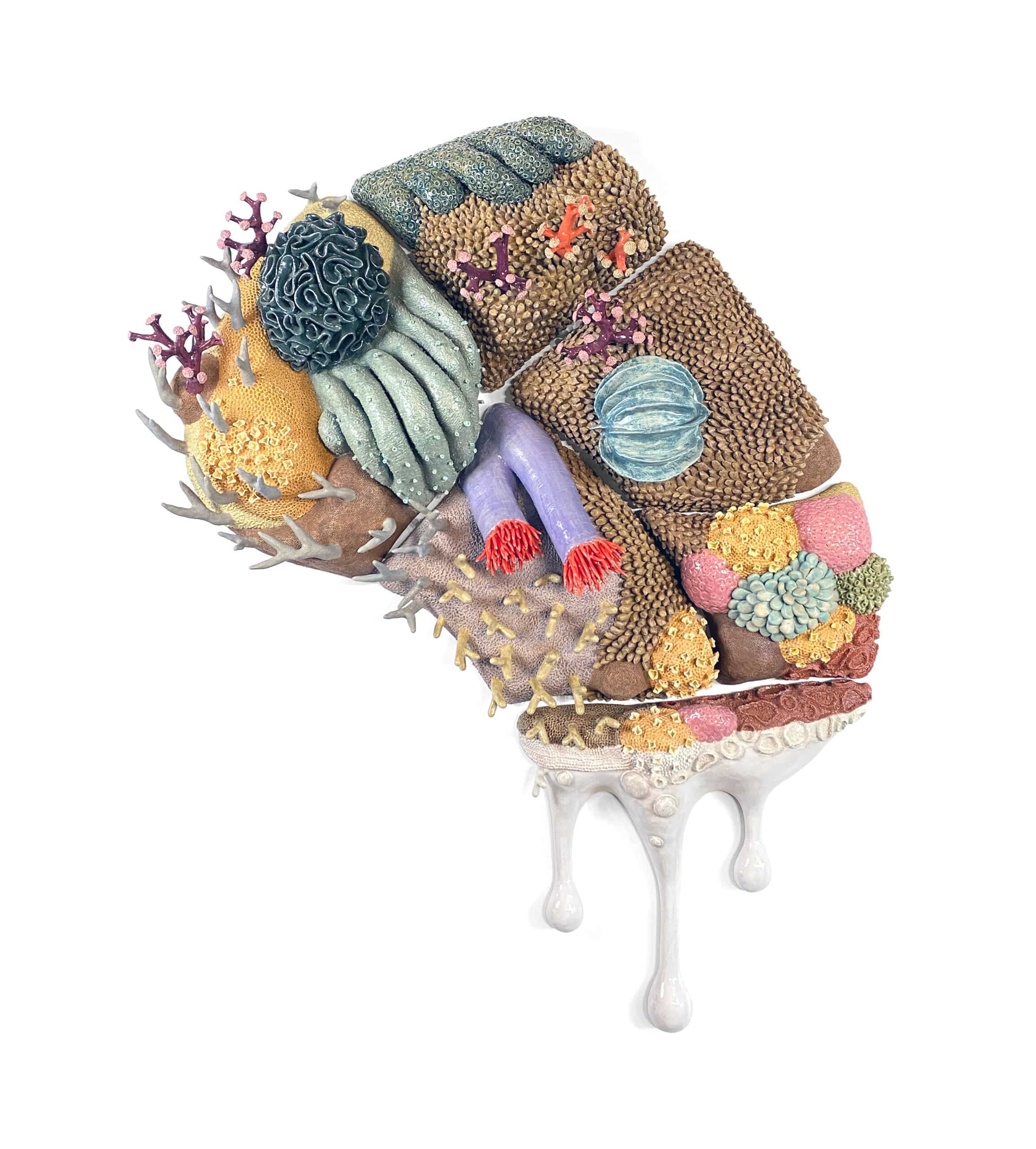 Intricate Oceans: Coral in Contemporary Art