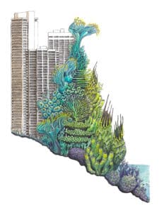 Stephanie Kilgast_Coastal Development