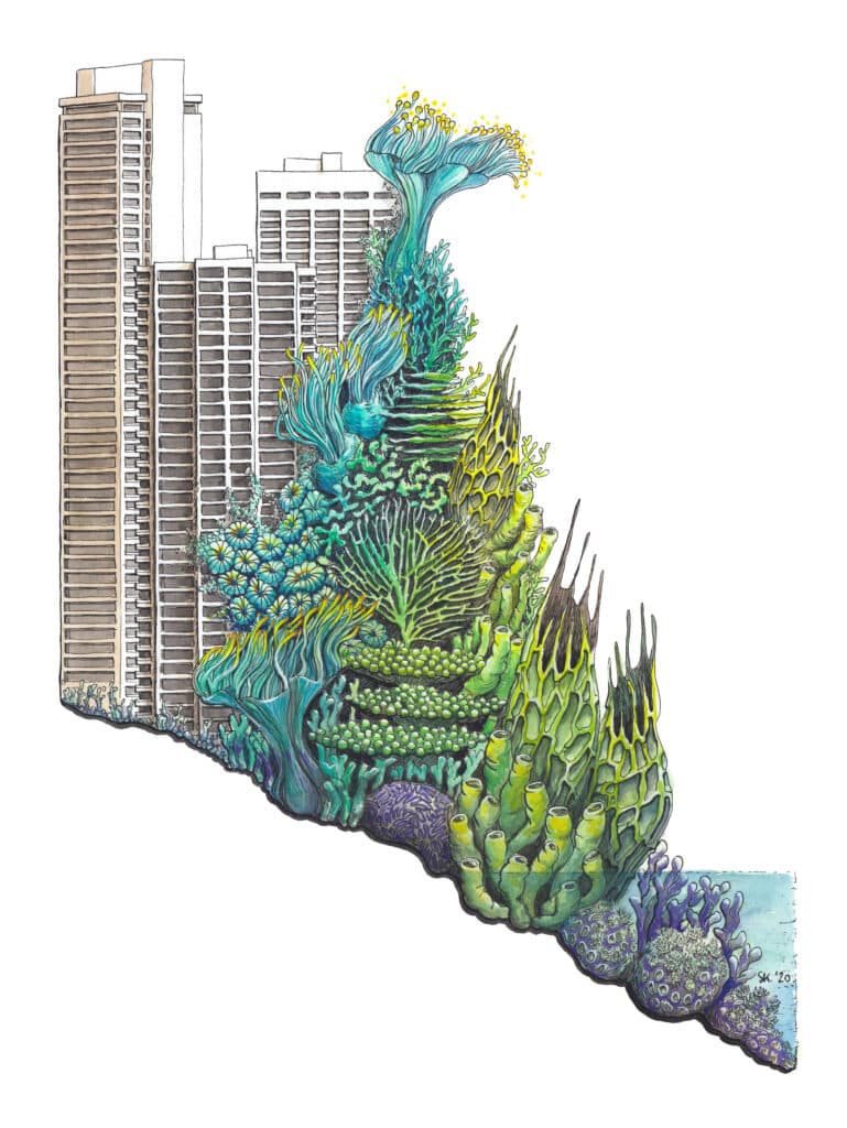Stephanie Kilgast_Coastal Development