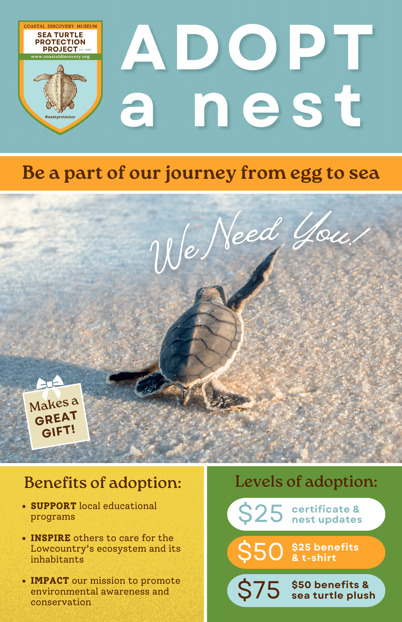 adopt a turtle nest poster