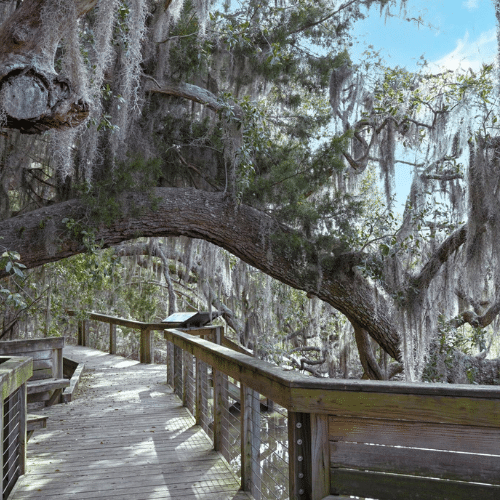 boardwalk
