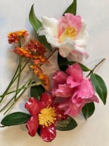 Camellia Waxing Discovery Night for Members Only
