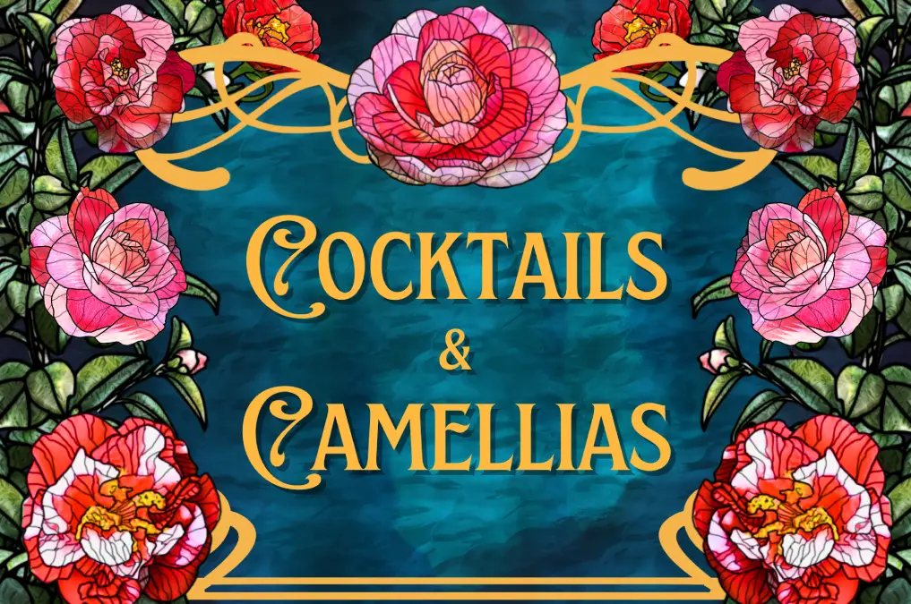 cocktails and camellias graphic for
