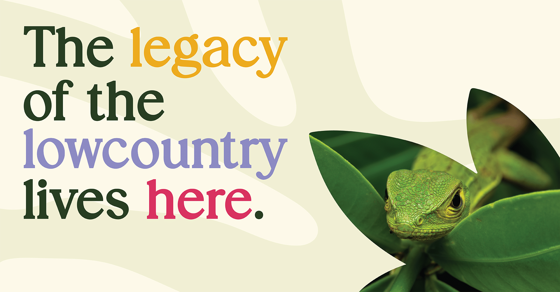 2026 Membership Drive