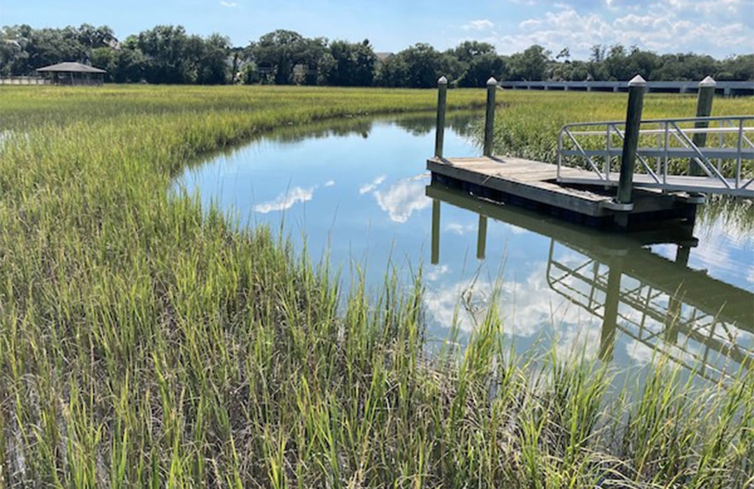 marsh