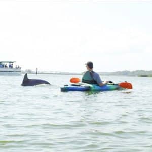 Kayak Hilton Head DolphinBesideKayak