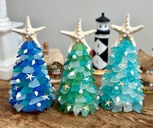 Sea Glass Trees Discovery Night