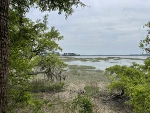 Special Excurions Altamaha Heritage Preserve Trail Talk