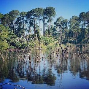 Special Excursions Pinckney Island in the fall