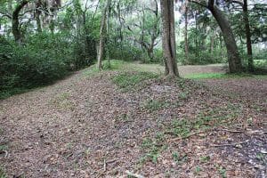 Green s Shell Enclosure Heritage Preserve Special Excursions