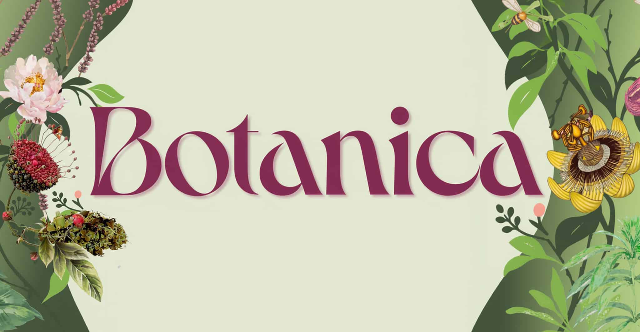 Botanica: Contemporary Views From Nature